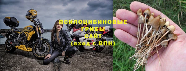 а пвп мука Магас