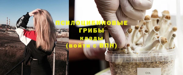 марихуана Магадан